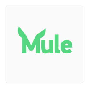 mule digital media